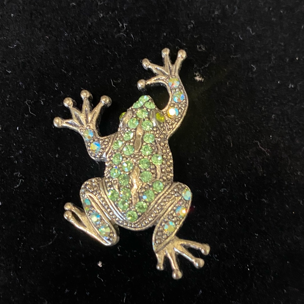 Green and gold
 Frog Brooch
